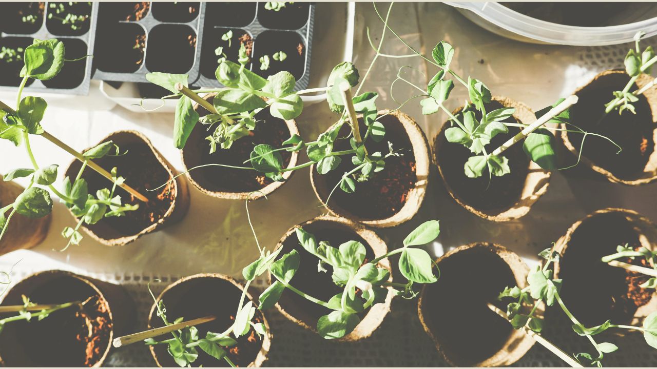 Come prendersi cura di se anche al di fuori della terapia