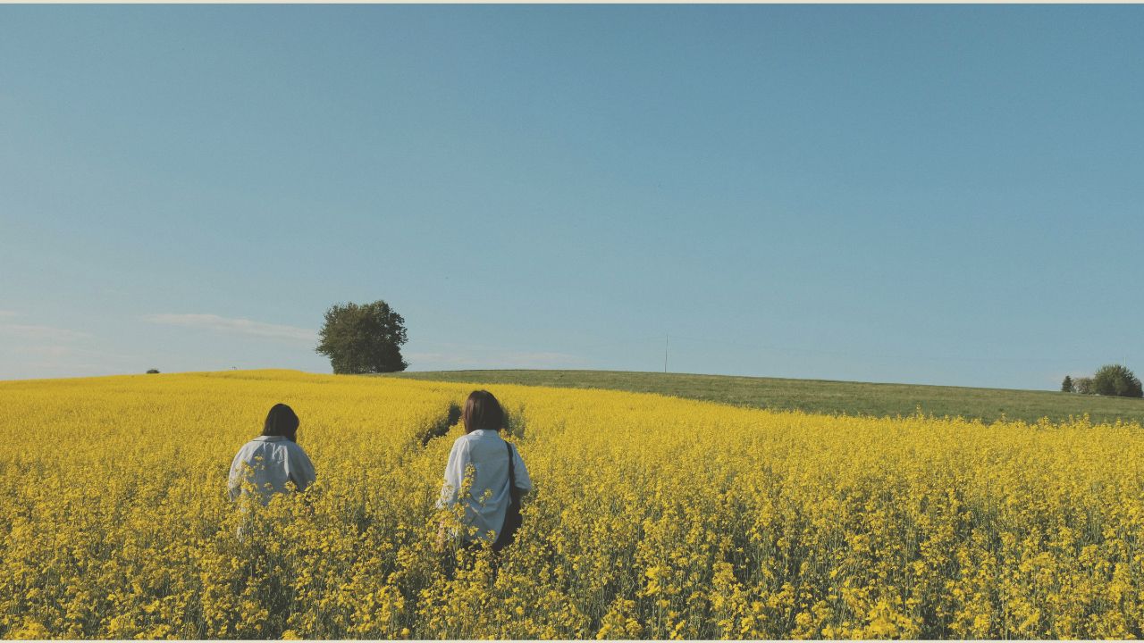 quali differenze nella coppia sono conciliabili e quali no?