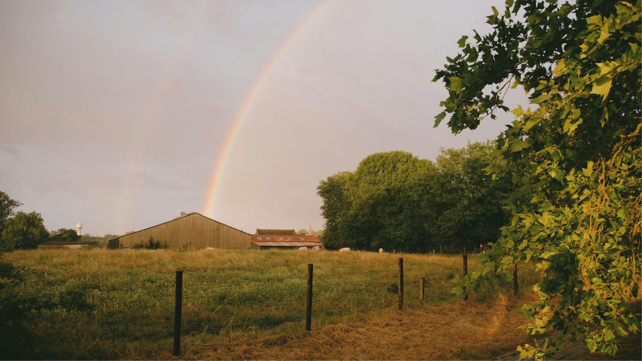 liberarsi del peso delle aspettative