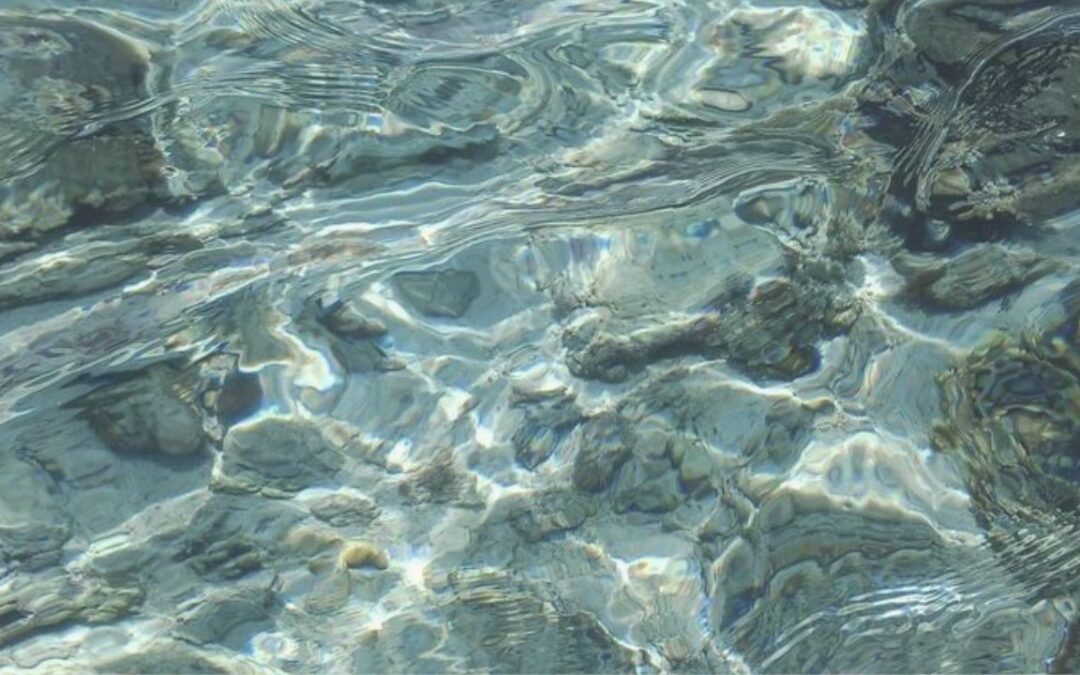 La verità ci calma: imparare a dare un nome a ciò che sentiamo