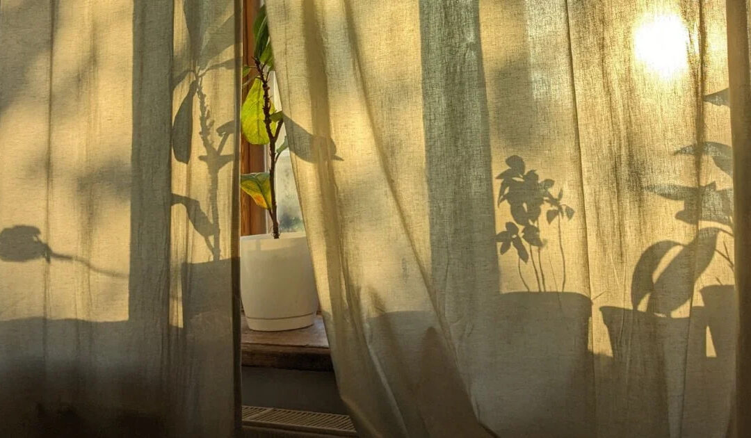 Abbiamo bisogno di silenzio (anche quando è scomodo)