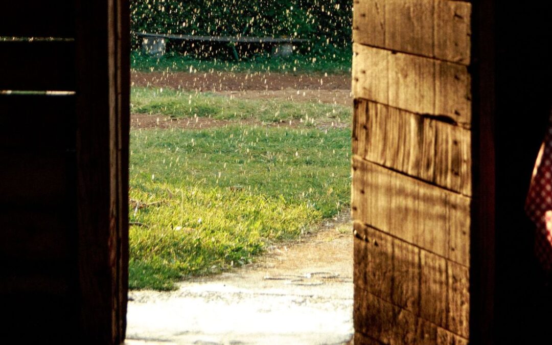 Restare invece di risolvere: quando i consigli non richiesti ci allontanano